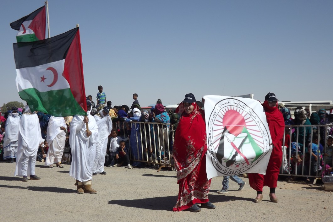 UJSARIO - Moara Crivelente 2017